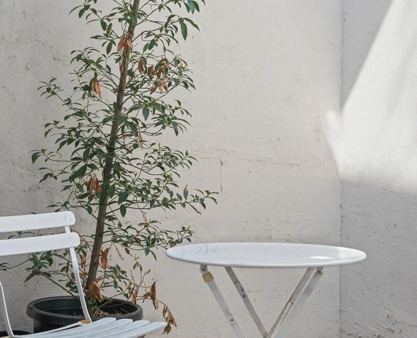 Halifax Muse Pet Friendly Townhouse Villa Adelaide
